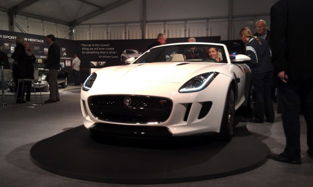 F-Type Snout L