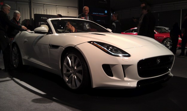 F-Type Snout R