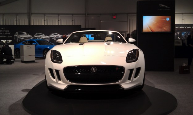 F-Type Snout